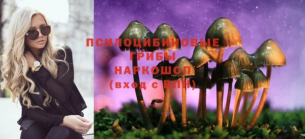 ALPHA PVP Рославль
